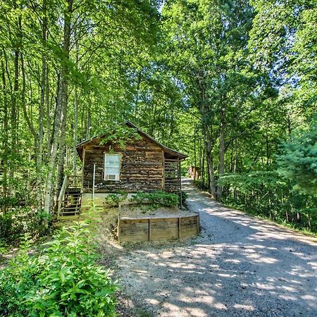 רובינסוויל Cozy The Woodshop Cabin With Deck And Forest Views! מראה חיצוני תמונה